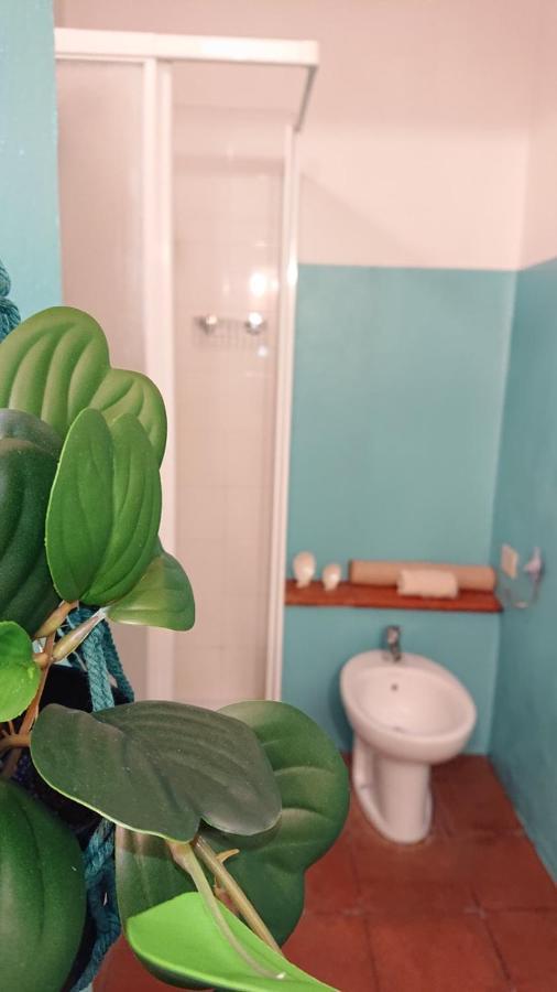 Ferienwohnung La Casina Di Alice Marciana Marina  Exterior foto